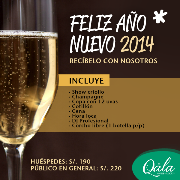 fiesta y cena de año nuevo 2014